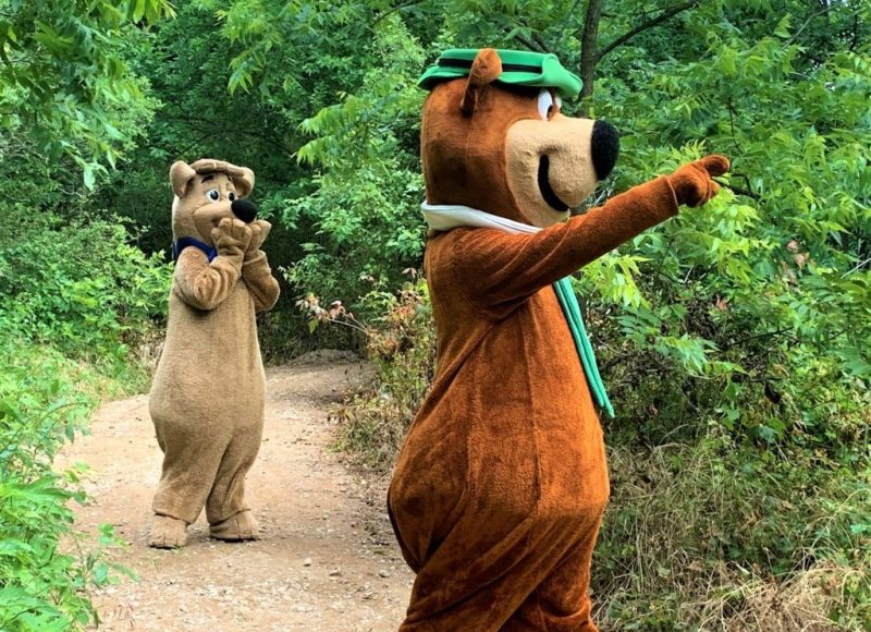 How to Identify Wild Plants to Avoid While Hiking
